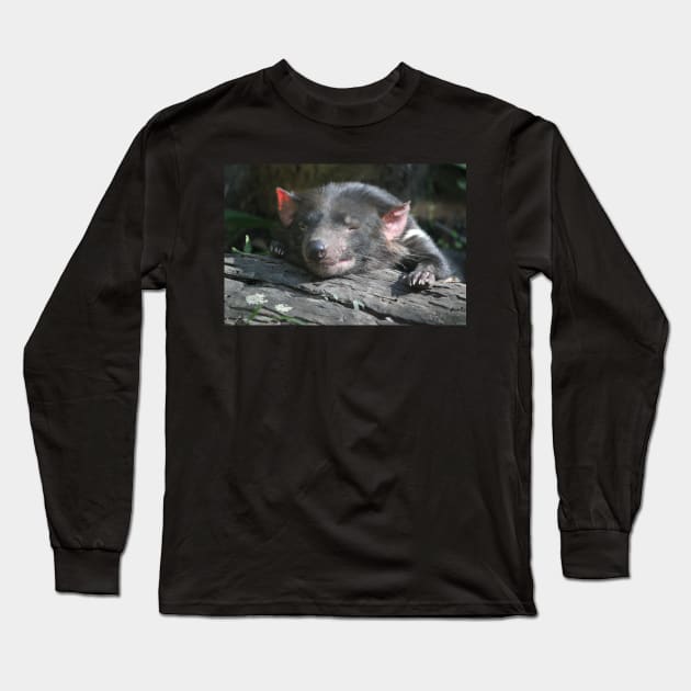 Tasmanian Devil Long Sleeve T-Shirt by LeanneAllen